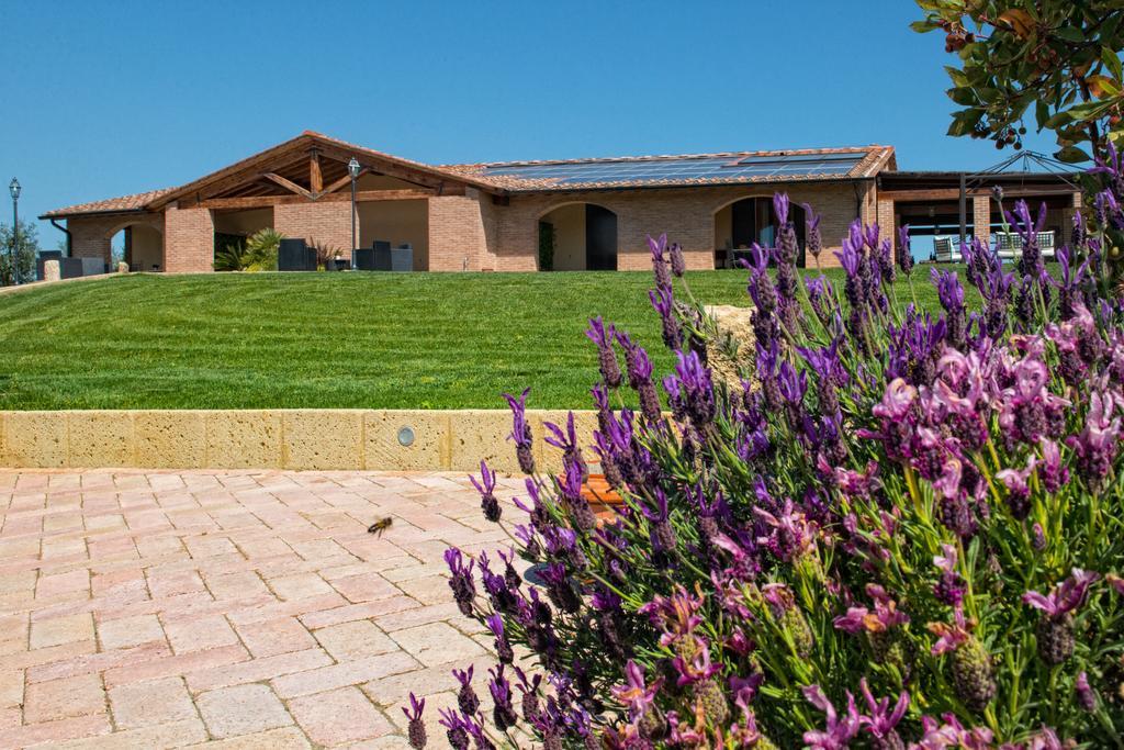 Agriturismo Deni Apartment Cenaia Luaran gambar