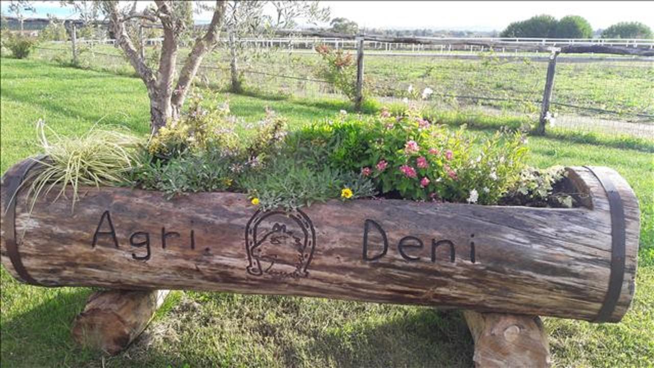 Agriturismo Deni Apartment Cenaia Luaran gambar